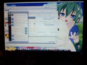 Picture taken from a DSi. Note that the small details aren't as clear.