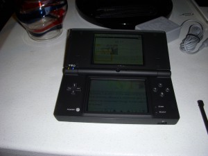 DSi Browser in action