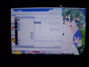 Picture taken from the Nikon Coolpix S51 (Picture is resized from the original.)