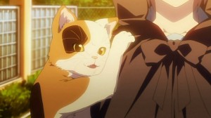 OMG! Talking cat!