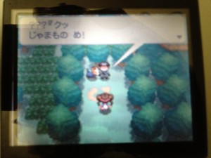 "Damn! An obstacle!"