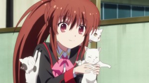Is it me, or Rin looks like a crazy cat lady?