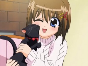 Hayate surely loves cats.