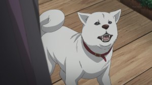Takayanagi is pretty cute as a dog!