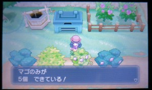 Berry growing finally returns!