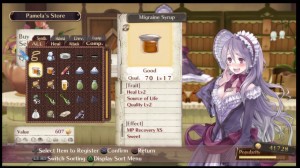 Western critics tend to be biased against Japanese games as they don't understand that these games serve a niche audience.