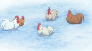 Yep, the chickens are actually laying in the snow.