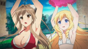 Girls in swimsuits promoting an amusement park is an odd combination.