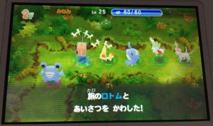 Lastly, you can meet a wandering Pokemon and be connected with them.